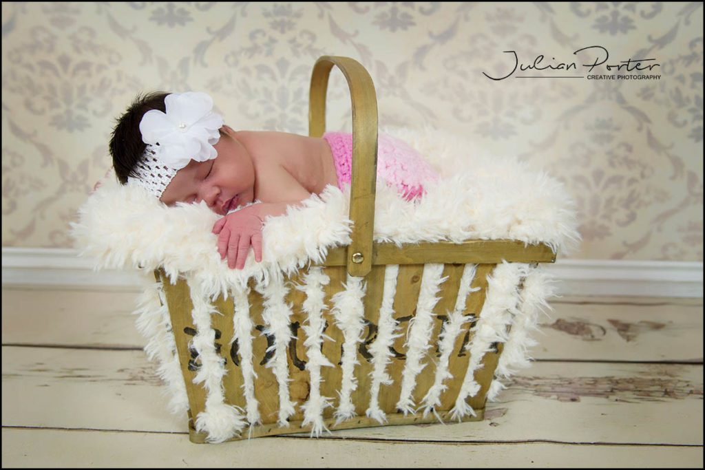 Newborn photos, newborn with sibling photos, family photos, Anne Geddes photos, baby in a basket, babyjp photos, julianporter newborns, newborn baby photos