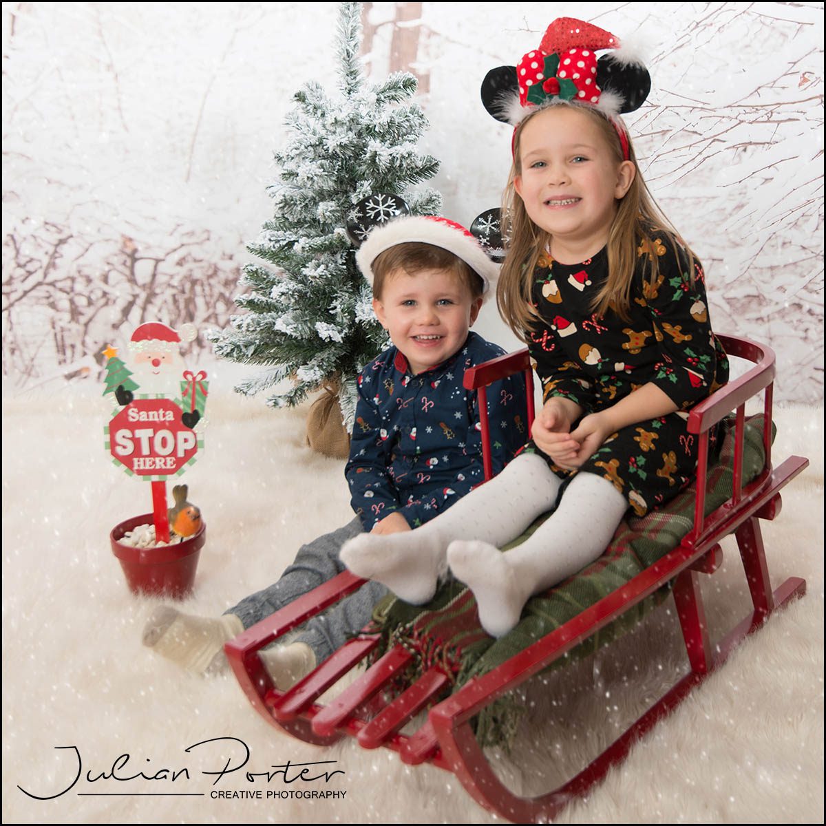christmas portraits.jpg