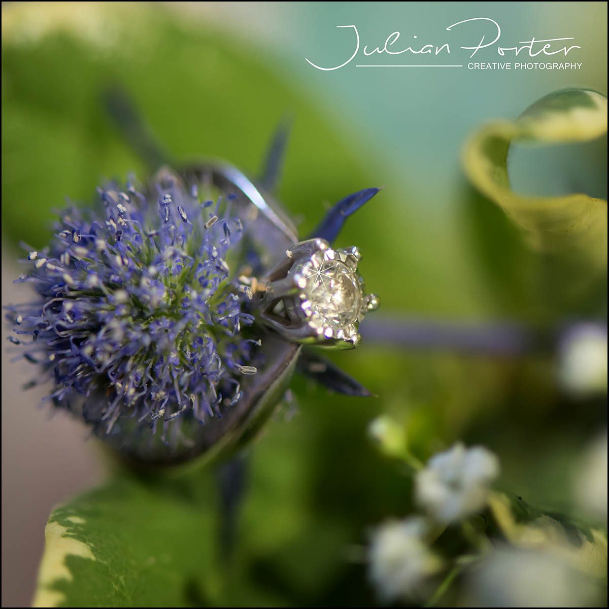 engagement ring on thistle